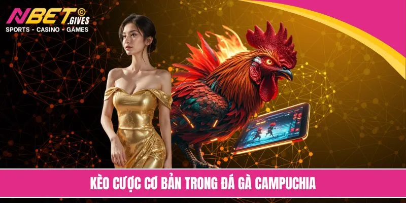 Tìm hiểu đặc điểm sới đấu đá gà Campuchia
