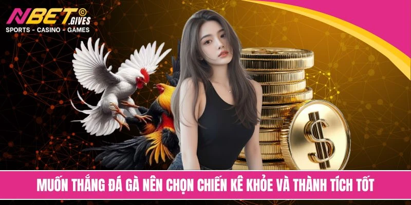 Muốn thắng đá gà nên chọn chiến kê khỏe và thành tích tốt
