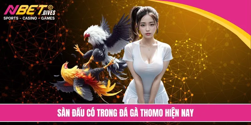 Sàn đấu có trong đá gà Thomo hiện nay