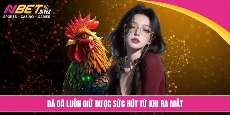 Đá gà luôn giữ được sức hút từ khi ra mắt